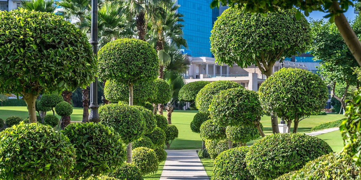 Central Park